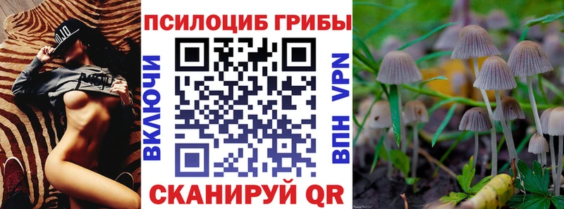 Галлюциногенные грибы MAGIC MUSHROOMS  блэк спрут онион  Сухиничи 